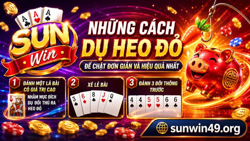 Cách dụ heo đỏ để chặt hiệu quả