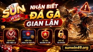 Tìm hiểu về đá gà bịp tại Sunwin